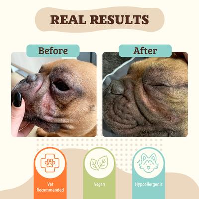 Show full view: Natural Dog Company Wrinkle Balm Dog Cream, 2-fl oz stick slide 5 of 8