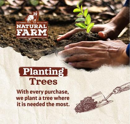 Show full view: Natural Farm 2 to 4-in Beef Bully Sticks Dog Treats, 8-oz slide 7 of 7