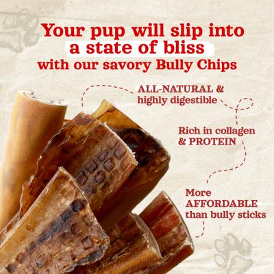 Show full view: Natural Farm 4 to 6-in Beef Bully Chips Dog Treats, 16-oz bag slide 4 of 10