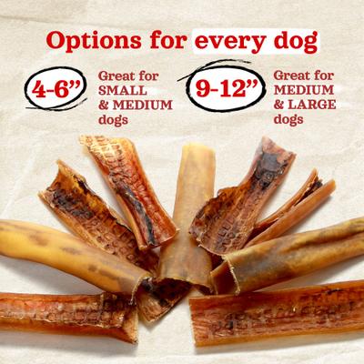 Show full view: Natural Farm 4 to 6-in Beef Bully Chips Dog Treats, 16-oz bag slide 7 of 10