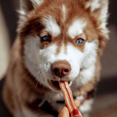 Show full view: Natural Farm 4-in Beef Bully Sticks Dog Treats, 16-oz slide 9 of 10