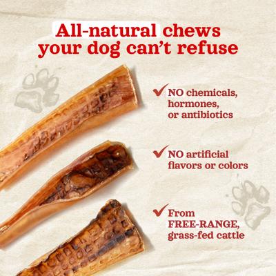 Show full view: Natural Farm 9 to 12-in Beef Bully Chips Dog Treats, 16-oz bag slide 7 of 11