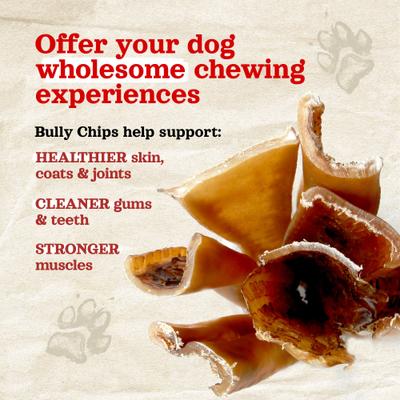 Show full view: Natural Farm 9 to 12-in Beef Bully Chips Dog Treats, 16-oz bag slide 6 of 11
