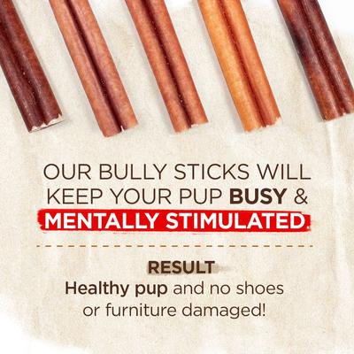 Show full view: Natural Farm Beef 12-in Bully Sticks Dog Treats, 1 count slide 5 of 7