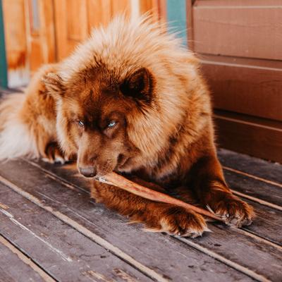 Show full view: Natural Farm Beef Bully Sticks Dog Treats, 12-in, 12 count slide 9 of 11