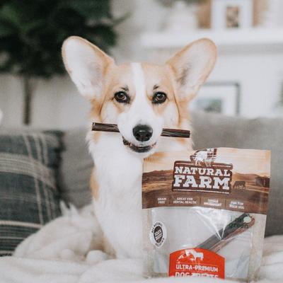 Show full view: Natural Farm Beef Collagen Sticks Dog Treats, 6-in, 15 count slide 6 of 11