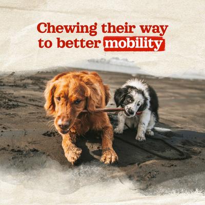 Show full view: Natural Farm Beef Collagen Sticks Dog Treats, 6-in, 20 count slide 5 of 11