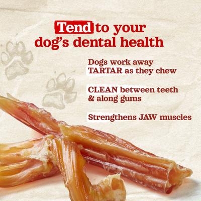 Show full view: Natural Farm Beef Tendon Dog Treats, 4-6-in, 6 count slide 4 of 6