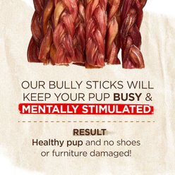 Natural Farm Braided Beef 6-in Bully Sticks Dog Treats, 1 count slide 2 of 5