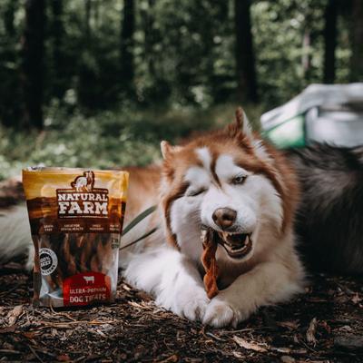 Show full view: Natural Farm Braided Beef Bully Sticks Dog Treats, 6-in, 10 count slide 3 of 11