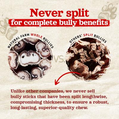 Show full view: Natural Farm Extra Thick Beef Bully Sticks Dog Treats, 12-in, 10 count slide 6 of 10