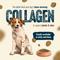 Show in main carousel: Natural Farm Fresh Salmon Recipe with Collagen Dry Dog Food, 8-lb bundle slide 6 of 10