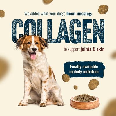 Show full view: Natural Farm Fresh Salmon Recipe with Collagen Dry Dog Food, 8-lb bundle slide 6 of 10