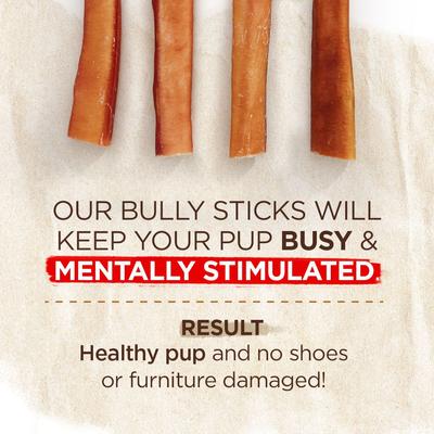 Show full view: Natural Farm Jumbo Beef Bully Sticks Dog Treats, 1 count, 12-in slide 4 of 6