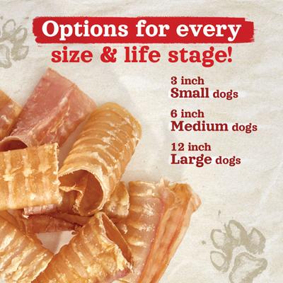 Show full view: Natural Farm Odor-Free Beef Trachea Dog Treats, 6-in, 6 count slide 5 of 7