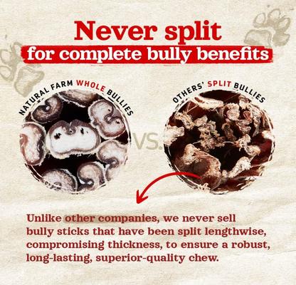 Show full view: Natural Farm Thick Beef Bully Sticks Dog Treats, 6-in, 18 count slide 4 of 7