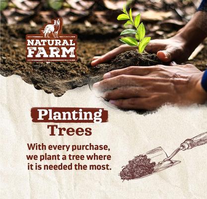 Show full view: Natural Farm Thin Beef Bully Sticks Dog Treats, 6-in, 10 count slide 7 of 7