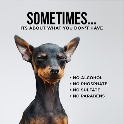 Show full view: Natural Rapport Liquid & Wipes Dog Ear Cleaner Bundle, 8-fl oz bottle & 100 count wipes slide 5 of 5