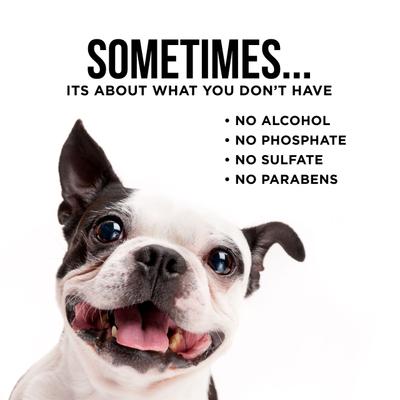 Show full view: Natural Rapport Liquid & Wipes Dog Eye Tear Stain Remover Bundle, 18-fl oz bottle & 100 count wipes slide 6 of 7