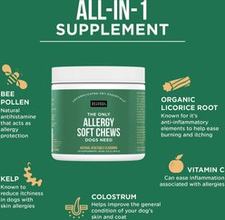 Natural Rapport The Only Allergy Soft Chews Dogs Need Allergy Supplement for Dogs, 120 count slide 2 of 5