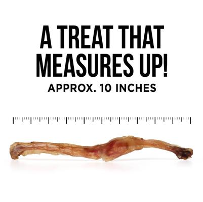 Show full view: Natural Rapport The Only Beef Tendon Chews Dogs Need Hard Chew Dog Treats, 5 count slide 5 of 6