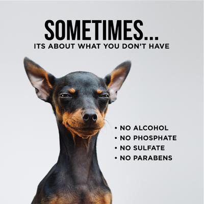 Show full view: Natural Rapport The Only Dog Ear Wipes, 100 count slide 5 of 5