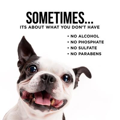 Show full view: Natural Rapport The Only Dog Eye Wipes, 100 count slide 6 of 8