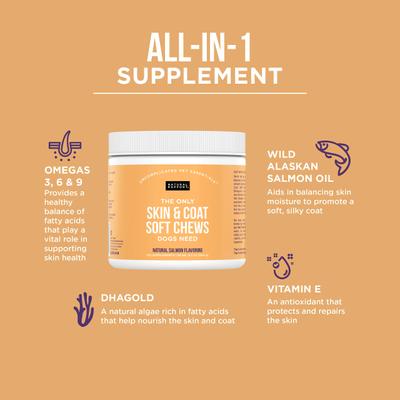 Show full view: Natural Rapport The Only Skin & Coat Soft Chews Dogs Need Skin & Coat Supplement for Dogs, 120 count slide 3 of 6