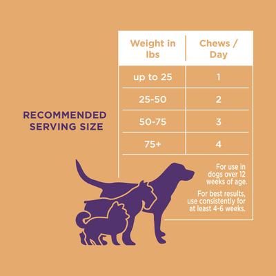 Show full view: Natural Rapport The Only Skin & Coat Soft Chews Dogs Need Skin & Coat Supplement for Dogs, 120 count slide 6 of 6