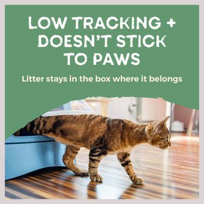 Show full view: Naturally Fresh Quick Clumping Unscented Cat Litter, 40-lb bag slide 8 of 11