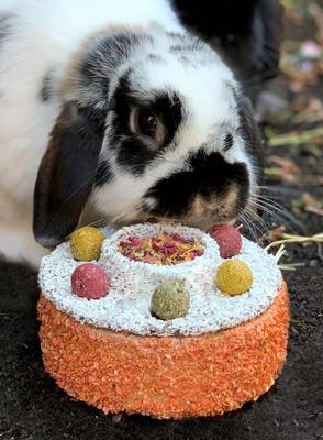 Show full view: Naturals by Rosewood Celebration Cake Small Pet Treats, 1 count slide 6 of 8