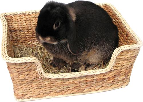 Show full view: Naturals by Rosewood Chill N Snooze Bed slide 4 of 5