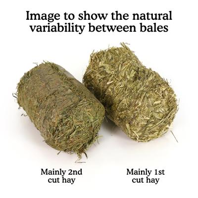 Show full view: Naturals by Rosewood Meadow Hay Bales Small Pet Treats, 2.2-lb bag, case of 4 slide 3 of 9