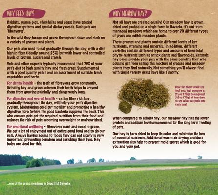 Show full view: Naturals by Rosewood Meadow Hay Bales Small Pet Treats, 2.2-lb bag slide 5 of 9