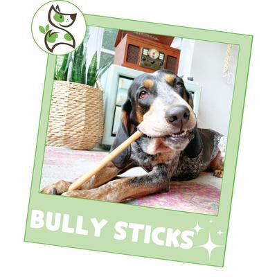 Show full view: Nature Gnaws 11 to 12-in Beef Bully Sticks Dog Chew Treats, 1-lb bag slide 7 of 10