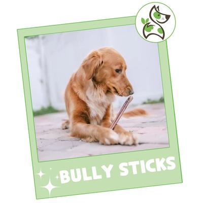 Show full view: Nature Gnaws 11 to 12-in Beef Bully Sticks Dog Chew Treats, 1-lb bag slide 8 of 10