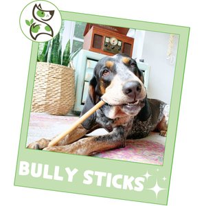 Nature Gnaws 11 to 12-in Beef Bully Sticks Dog Chew Treats, 8-oz bag