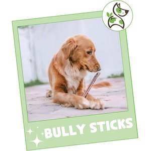 Nature Gnaws 11 to 12-in Beef Bully Sticks Dog Chew Treats, 8-oz bag