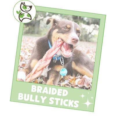 Show full view: Nature Gnaws 11 to 12-in Braided Bully Sticks Dog Chew Treats, 5 count slide 7 of 10