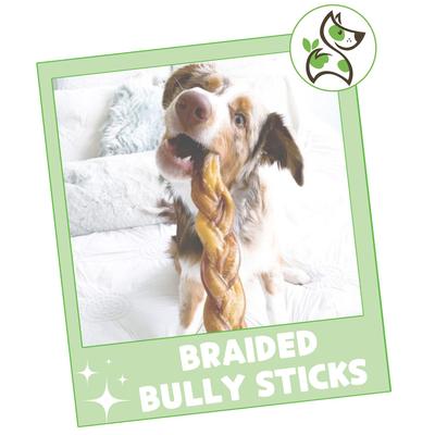 Show full view: Nature Gnaws 11 to 12-in Braided Bully Sticks Dog Chew Treats, 5 count slide 8 of 10