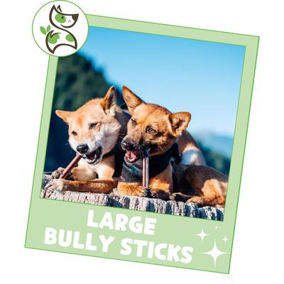 Show full view: Nature Gnaws 11 to 12-in Bully Sticks Dog Chew Treats, Large, 5 count slide 7 of 10