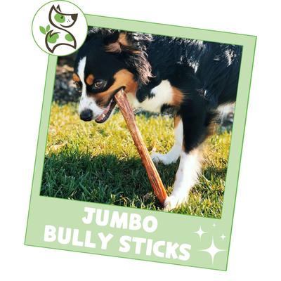 Show full view: Nature Gnaws 11 to 12-in Bully Sticks Dog Chew Treats, X-Large, 3 count slide 7 of 10