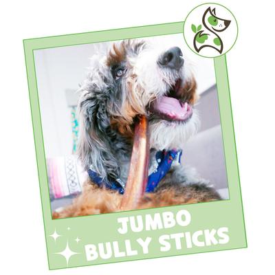 Show full view: Nature Gnaws 11 to 12-in Bully Sticks Dog Chew Treats, X-Large, 3 count slide 8 of 10