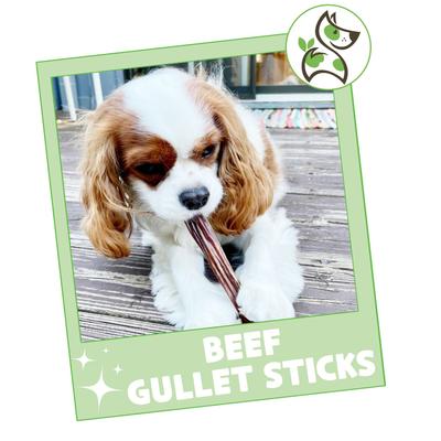 Show full view: Nature Gnaws 5 to 6-in Beef Gullet Sticks Natural Dog Chew Treats, 8-oz bag slide 7 of 10