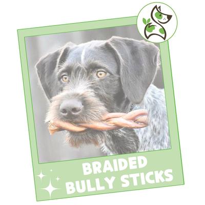 Show full view: Nature Gnaws 5 to 6-in Braided Bully Sticks Dog Chew Treats, 10 count slide 8 of 10