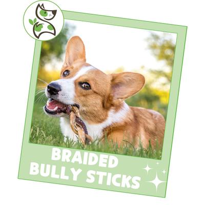 Show full view: Nature Gnaws 5 to 6-in Braided Bully Sticks Dog Chew Treats, 10 count slide 7 of 10