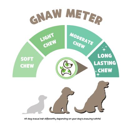 Show full view: Nature Gnaws 5 to 6-in Bully Sticks Dog Chew Treats, Large, 10 count slide 4 of 10