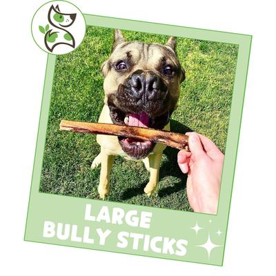 Show full view: Nature Gnaws 5 to 6-in Bully Sticks Dog Chew Treats, Large, 10 count slide 7 of 10