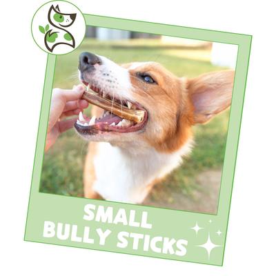 Show full view: Nature Gnaws 5 to 6-in Bully Sticks Dog Chew Treats, Small, 15 count slide 7 of 10