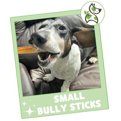Show full view: Nature Gnaws 5 to 6-in Bully Sticks Dog Chew Treats, Small, 15 count slide 8 of 10